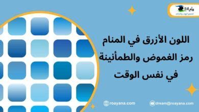 تفسير الحارس في الحلم معنى الحارس الشخصي في المنام