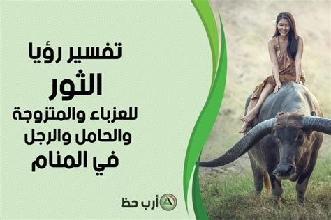 تفسير الثور في المنام وحلم هجوم الثور الهائج