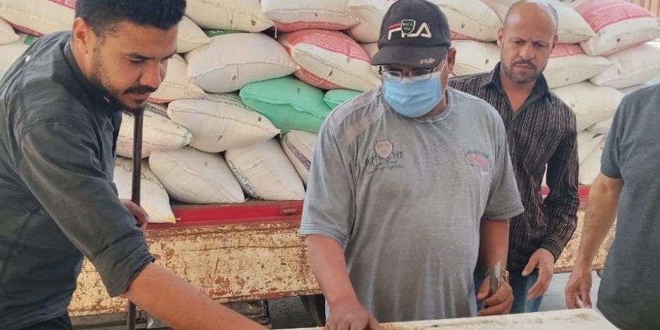 محافظ الجيزة: استلام (500) ألف طن قمح محلي بمواقع التخزين بالصوامع والشون