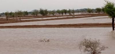 أخبار اليمن : الأمطار مستمرة وتحذير للمواطنين