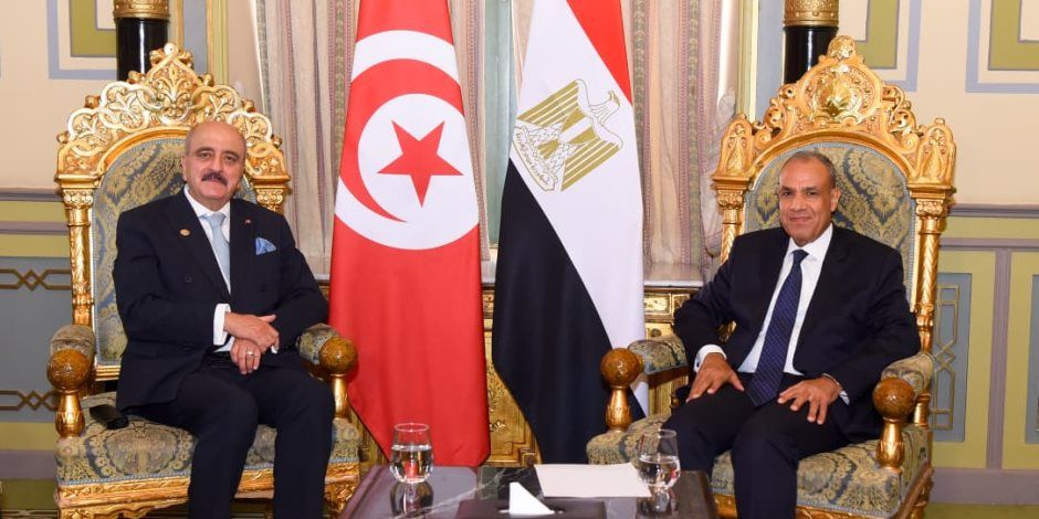 وزير الخارجية يلتقي نظيره التونسي بالقاهرة