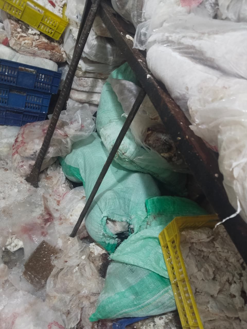 التحفظ على (87) ألف لتر سولار.. «الأنصاري» يتابع الحملات التموينية والبيطرية لضبط الأسواق
