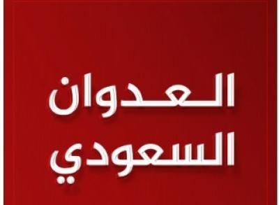 أخبار اليمن : طيران العدوان يشن 11 غارة على عمران والمخا