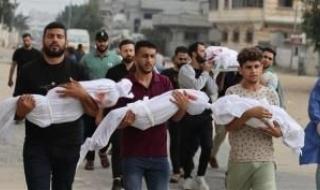 أخبار اليمن : ارتفاع عدد شهداء غزة إلى 74469